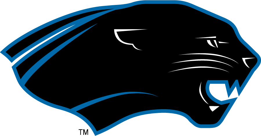 Eastern Illinois Panthers 2008-2015 Secondary Logo diy DTF decal sticker